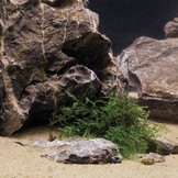 Natuur Zand Mekong 0,1-1,4mm 2,5kg