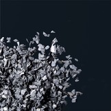 Natuur Grind Kongo 3-8mm 500g