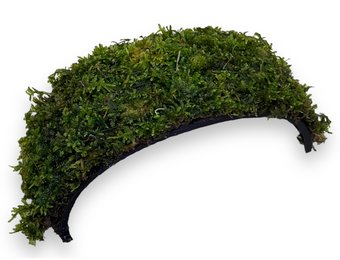 Armband Kokosnoot Met Javamos