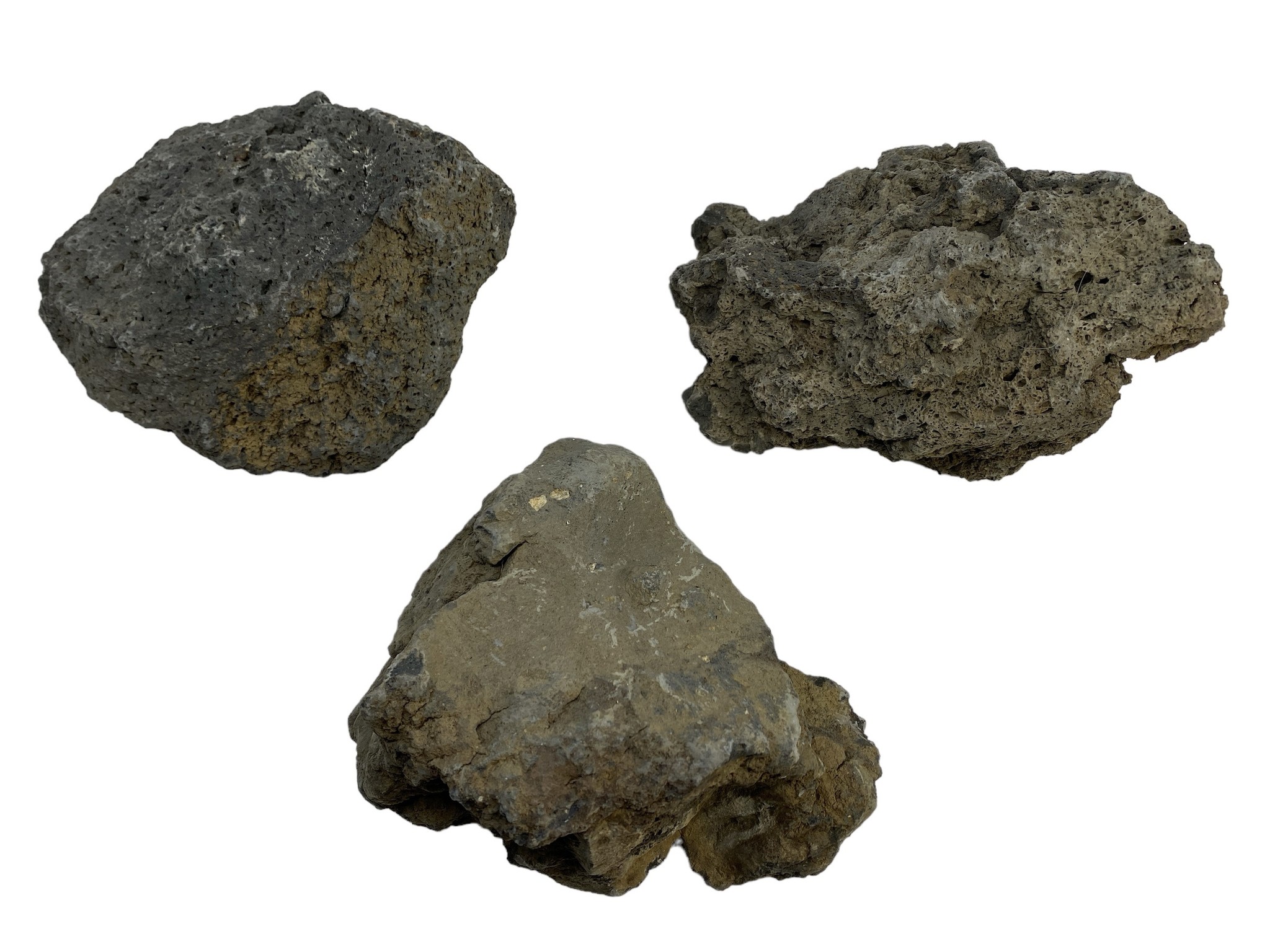 Kuroi Dark Rock M 2-3,5 kg