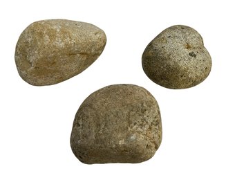 Tamago Rock M 2-3,5 kg