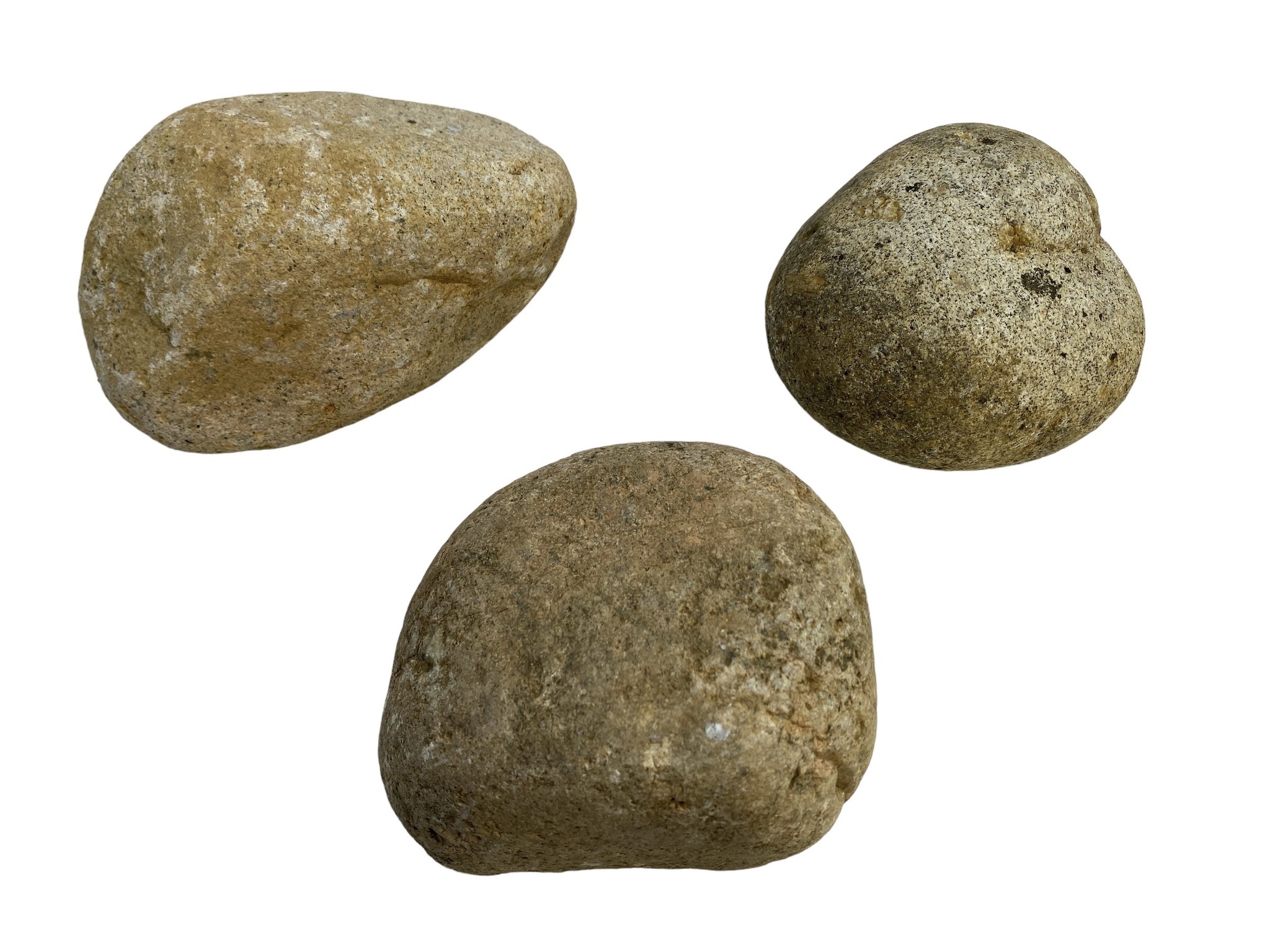 Tamago Rock M 2-3,5 kg