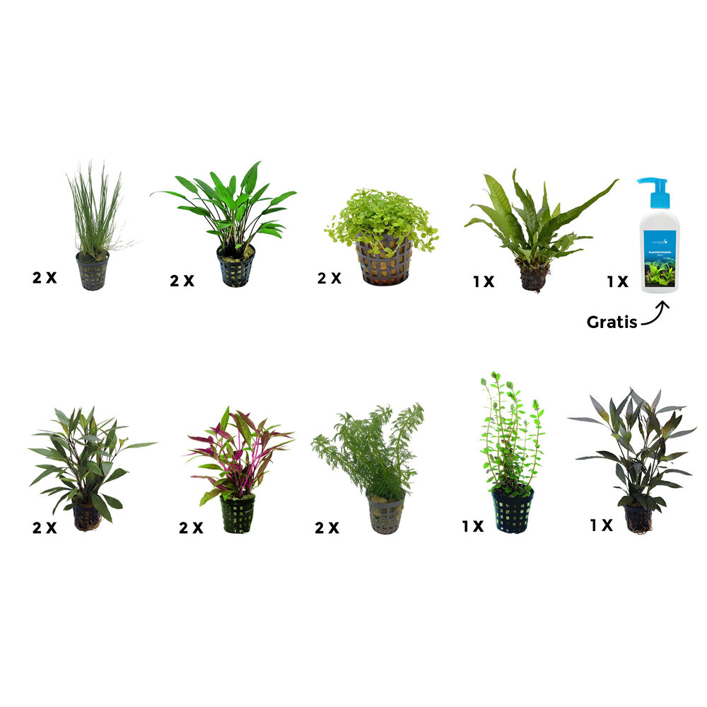 Kunststof aquarium planten | Vallisneria