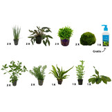 Plantenpakket Extra Large 2