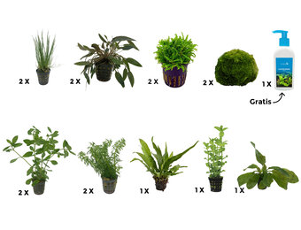 Plantenpakket Extra Large 2