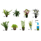 Plantenpakket Large 3