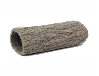 Pacific Catfish Cave Brown L