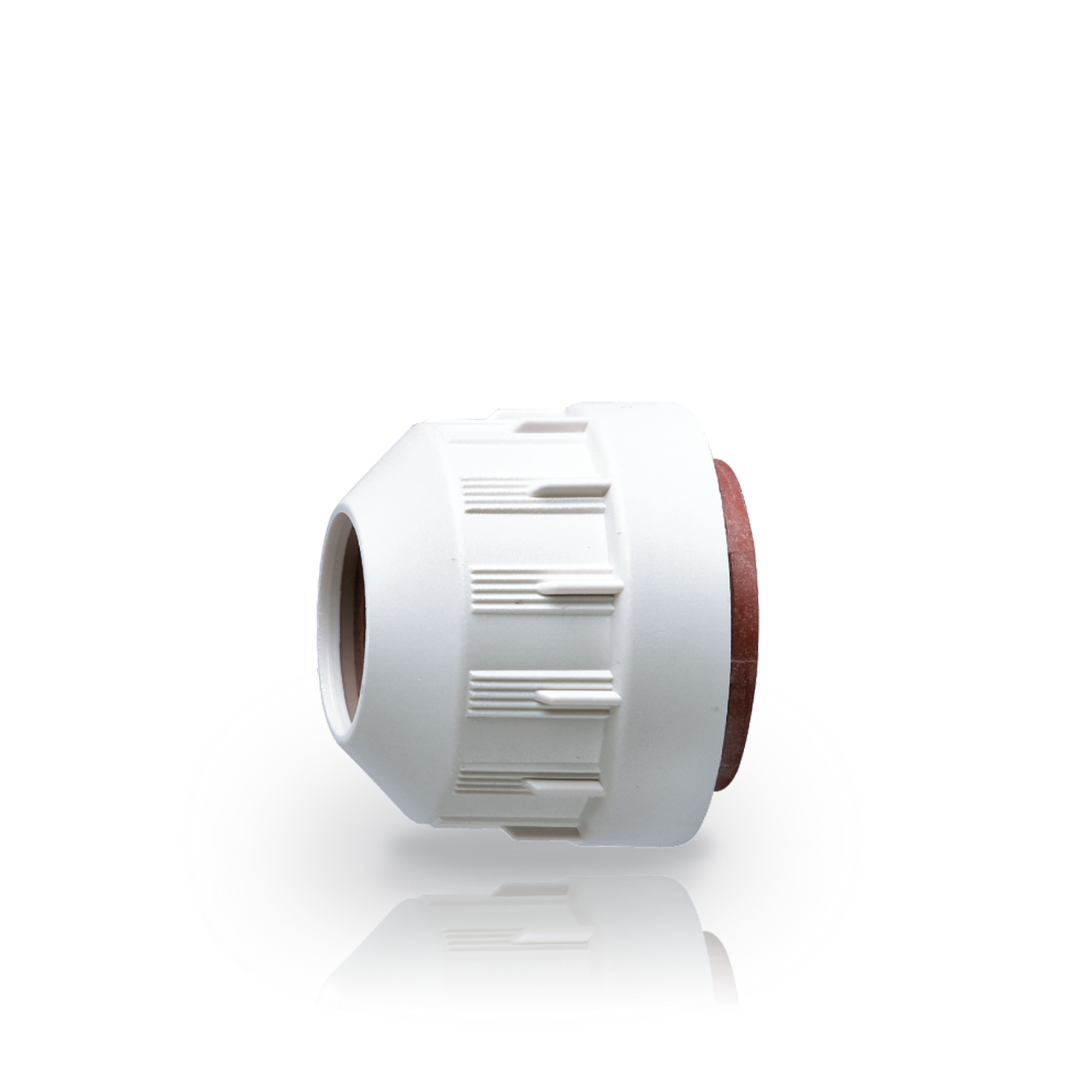 Ring WD Doppen voor T5 2 stuks