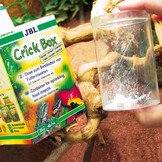 Crickbox (Container Voederinsecten)