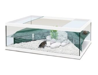 Schildpadbak Tortum 100 Wit