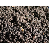 Bio Revitaliser 450g