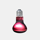 Infrarood Warmtespot 75W