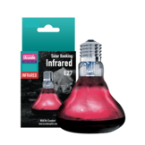 Infrarood Warmtespot 75W