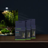 Plant Care Basic Root 10st