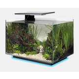 Aquarium Quadro 40 Multi Colour Wit