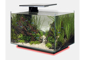 Aquarium Quadro 40 Multi Colour Zwart