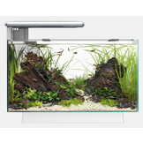 Aquarium Quadro 70 Pro Wit