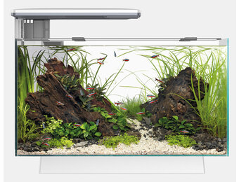 Aquarium Quadro 70 Pro Wit