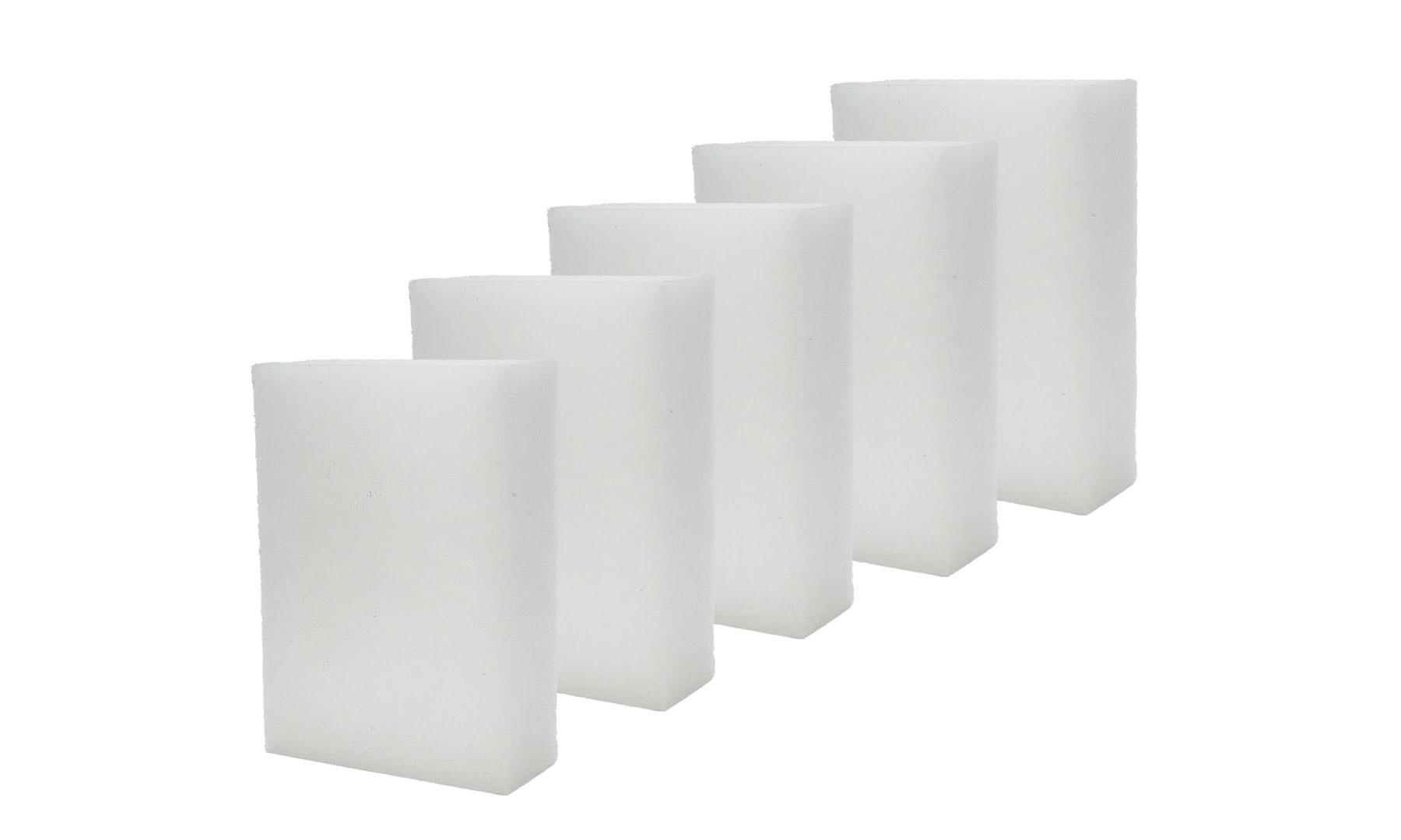 Algenspons 5 stuks - Cadeau