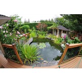 Zwarte Pur 500 ml 6st Voordeelbundel