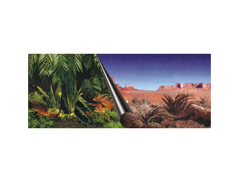 Poster Jungle en Woestijn 80x40cm