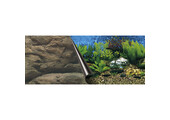 Poster Aquarium en Rots 60x30cm