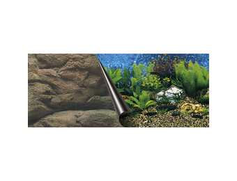 Poster Aquarium en Rots 60x30cm