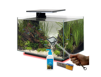 Quadro 40 Multi Colour Wit Voordeelbundel