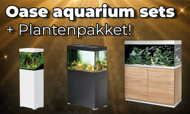 Oase Aquarium Sets + Gratis Plantenpakket