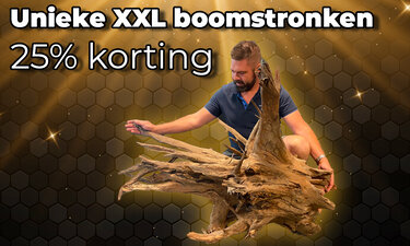 Uniek XXL Hout