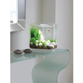 Feng shui marble pebble white