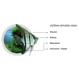 Filter Medium 1 liter