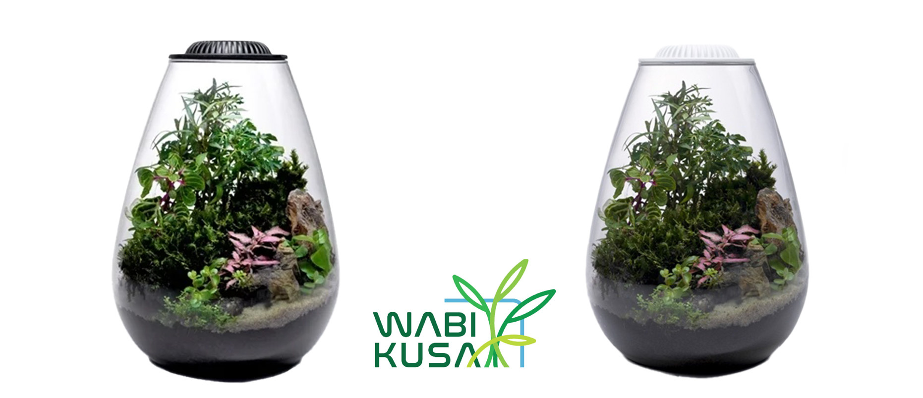 Nieuw: de AquastoreXL Wabi Kusa collectie