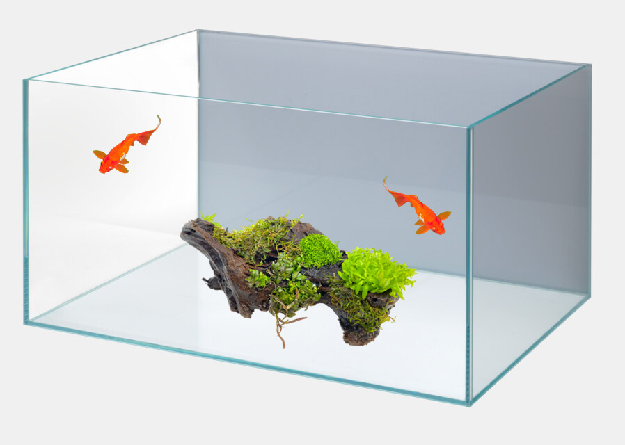 Bare bottom: het ultieme minimalistische aquariumdesign