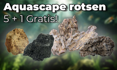 Aquascape rotsen 5+1 Gratis!