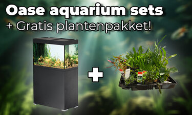 Oase Aquarium Sets + Gratis Plantenpakket