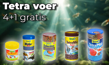Tetra voer 4 + 1 gratis!