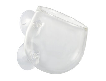 Glazen Planten Bowl Mini