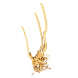 Boomstronk XXL 60 - 90 cm 1,5kg - NR11