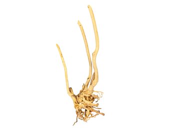 Boomstronk XXL 60 - 90 cm 1,5kg - NR11