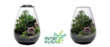 Wabi Kusa
