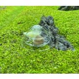 Slakkenvanger Kunststof