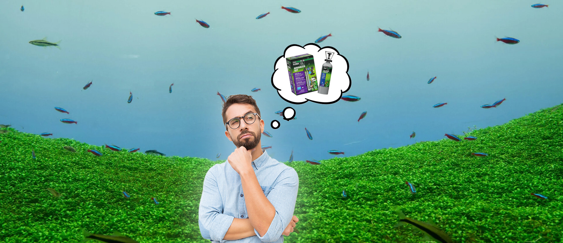 De toegevoegde waarde van een CO2-systeem