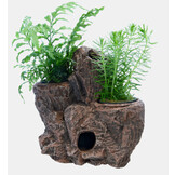 Scapers Floating Planty M