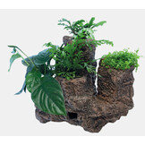 Scapers Floating Planty L