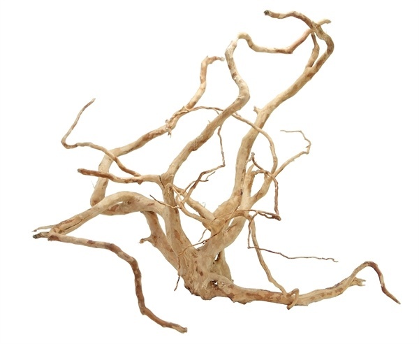 Spider Wood XXL