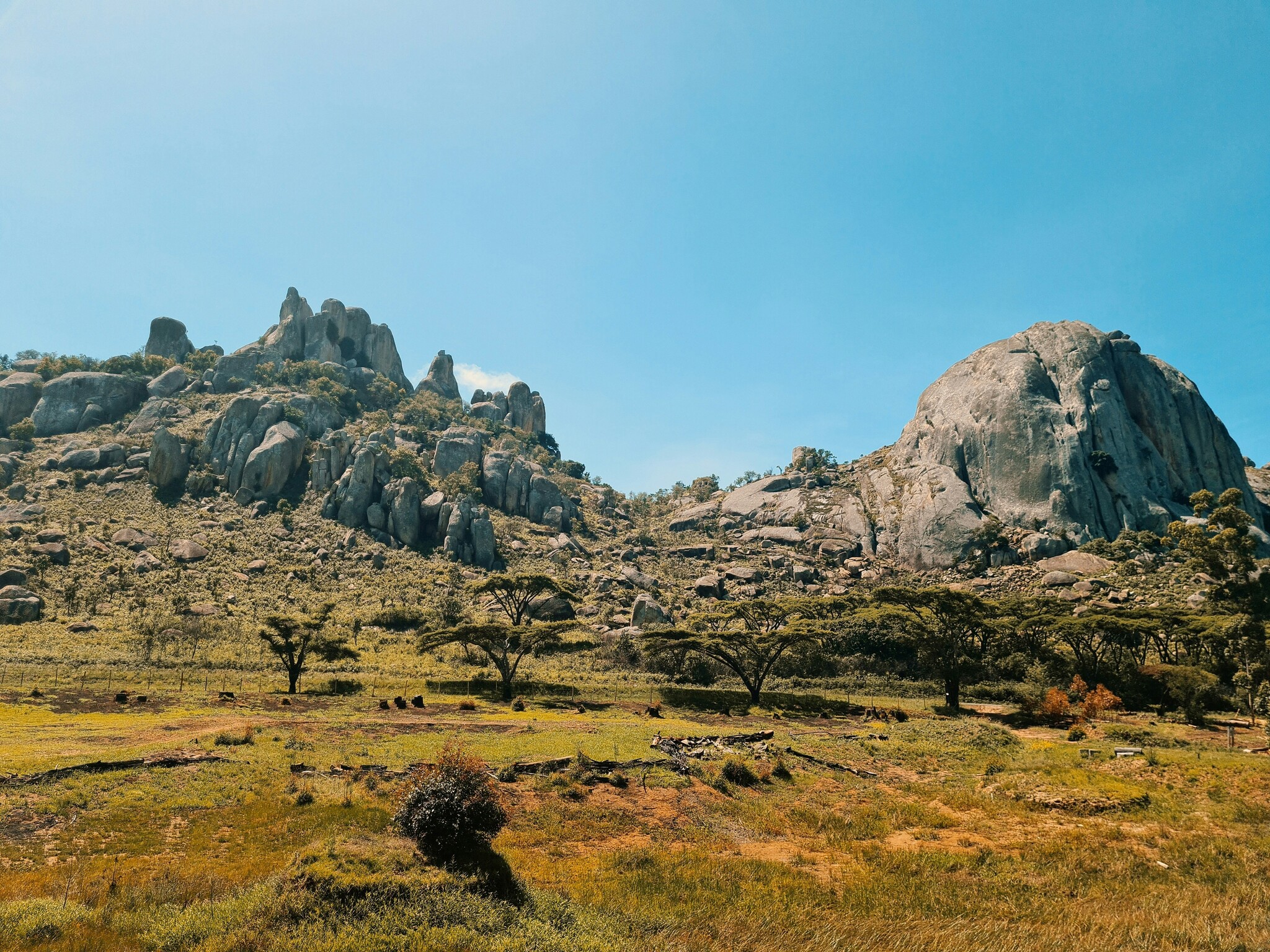 Uitgelicht: drakensteen en luipaardsteen voor hardscaping