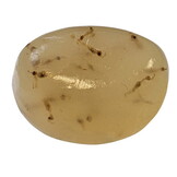 Gel-O-Drops White Mosquito