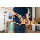 Boomstronk XXL 60 - 90 cm 1,5kg - NR11