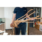 Boomstronk XXL 60 - 90 cm 2,8kg - NR10